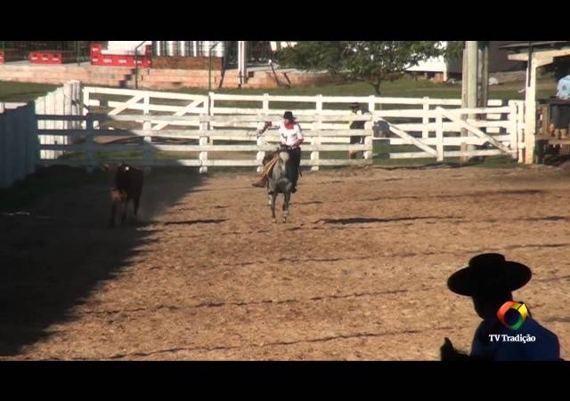 20º Rodeio do Conesul - Classificação Laço Certeiro - Quinta Feira