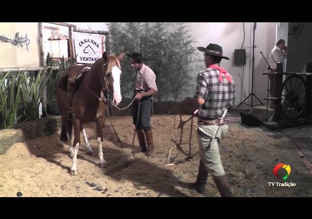 Rodeio Conesul 2014 -  9º Leilão Laço Certeiro - lote 36