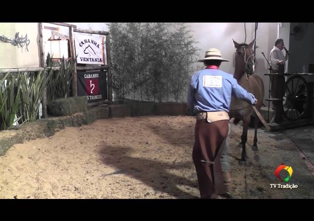 Rodeio Conesul 2014 -  9º Leilão Laço Certeiro - lote 11