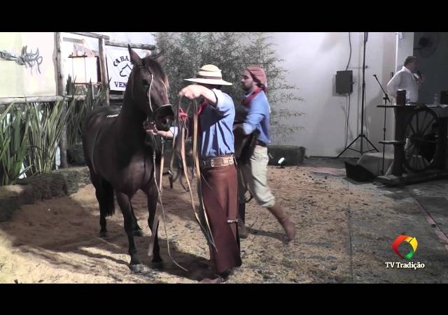 Rodeio Conesul 2014 -  9º Leilão Laço Certeiro - lote 07