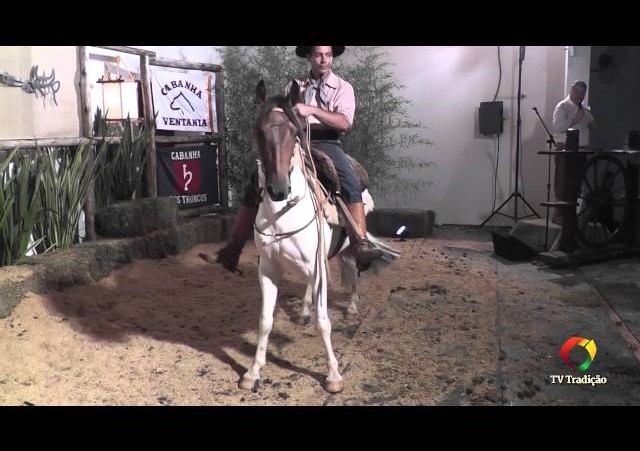 Rodeio Conesul 2014 -  9º Leilão Laço Certeiro - lote 35
