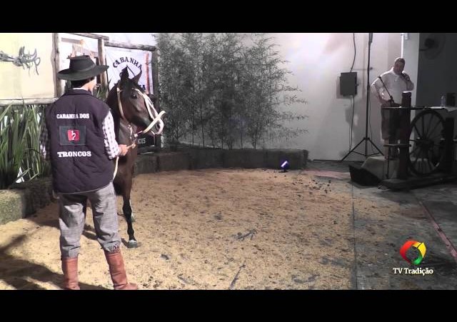 Rodeio Conesul 2014 -  9º Leilão Laço Certeiro - lote 18
