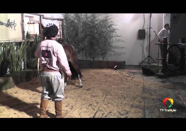 Rodeio Conesul 2014 -  9º Leilão Laço Certeiro - lote 14