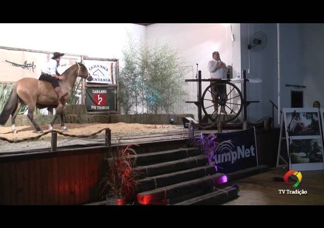 Rodeio Conesul 2014 -  9º Leilão Laço Certeiro - lote 17