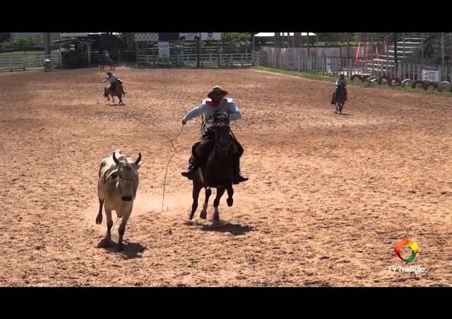 20º Rodeio Internacional do Conesul - Laço Equipe - 1ª Volta - Sexta-Feira