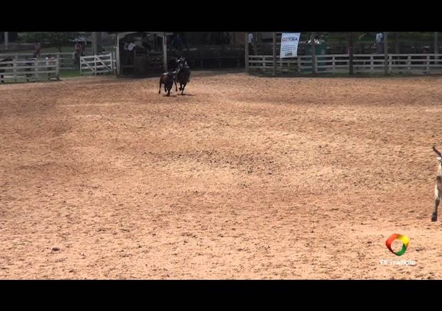 20º Rodeio Internacional do Conesul - Laço Piá - 1ª e 2ª Voltas - Sexta-Feira