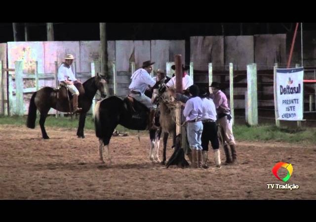 20º Rodeio do Conesul - Gineteada Modalidade Basto aberto - Alfeu Guerra