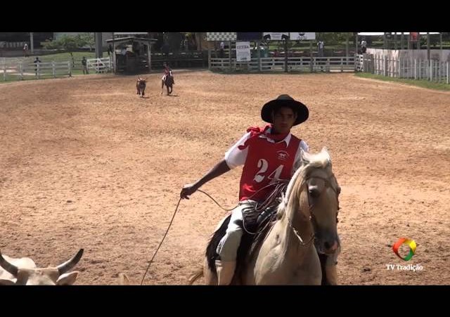 20º Rodeio Internacional do Conesul - Laço Guri e Guria - 1ª e 2ª Voltas - Sexta-Feira