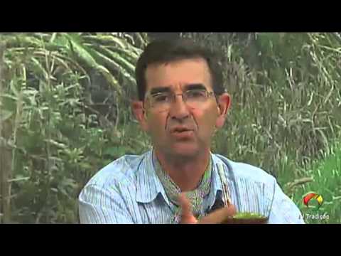 Proseando com o MTG - Programa 032