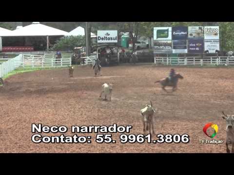 Neco - Narrador de Rodeios