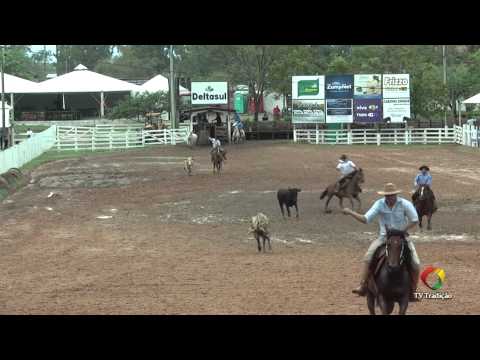 21º Rodeio Internacional do Conesul - Laço Quarto de Milha - Quinta