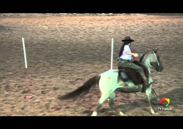 21º Rodeio Internacional do Conesul - Prova de Rédeas - Guri/Guria