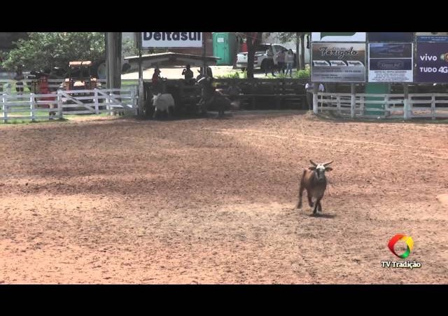 21º Rodeio Internacional do Conesul - Laços Piá/Menina, Guri/Guria, Prenda - Sábado