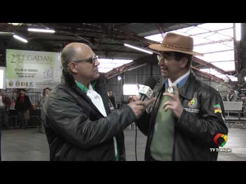 2º Fegadan - Entrevista: Juarez Nunes e Manoelito Savaris