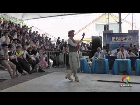 Luiz Felipe Cuertarelli - ENART 2015 - Chula