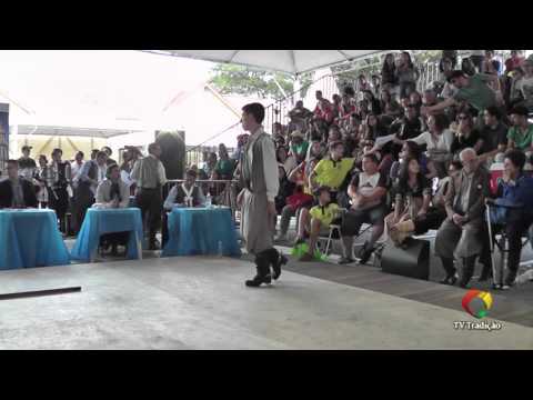ENART 2015 - Bruno de Assis X Clademir Santos - Chula