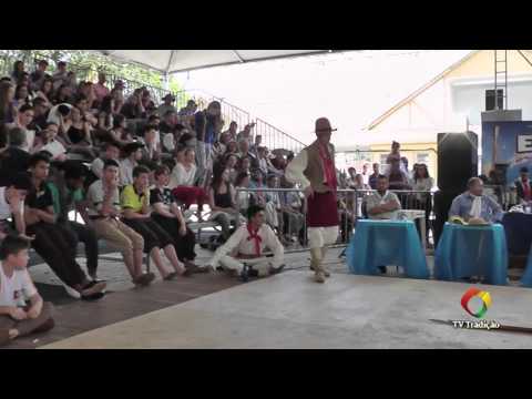 ENART 2015 - Leonardo Brizola X Mauricio Guimarães - Chula