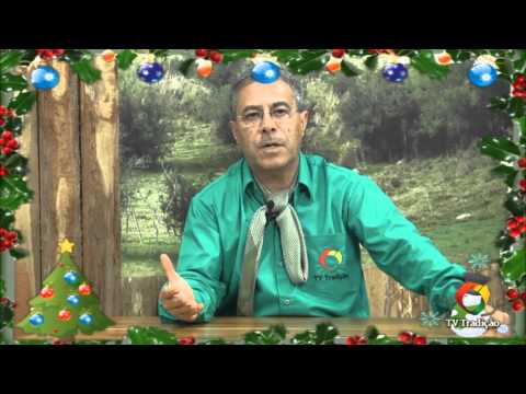Mensagem de Natal - Elomir Malta