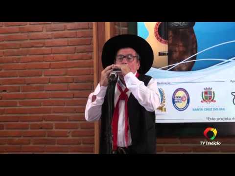 ENART 2015 - Alceu Filipini  - Gaita de Boca