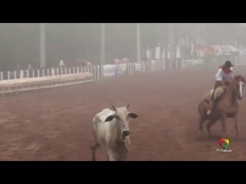 28º FECARS - Laço Rapaz / Prenda - Domingo