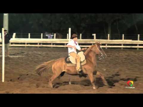 28ª FECARS - Prova de Rédeas - Guri - Sábado