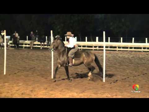 28ª FECARS - Prova de Rédeas - Guria - Sábado