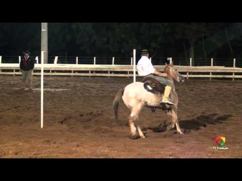 28ª FECARS - Prova de Rédeas - Veterano - Sábado