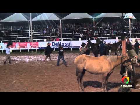 22º Rodeio Internacional da Conesul - 1ª Classificatória da Gineteada
