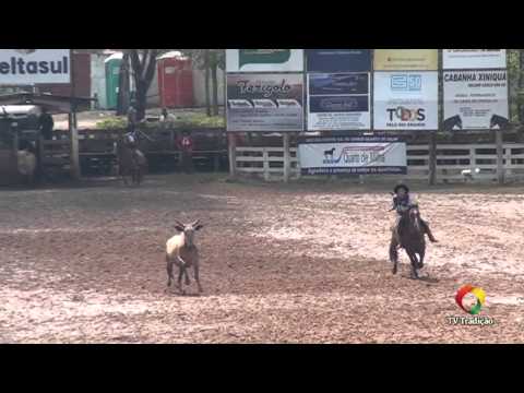 22º Rodeio Internacional da Conesul - Laço Guri - 1ª e 2ª Rodada