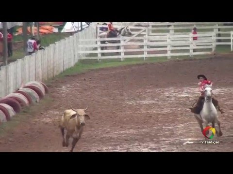 22º Rodeio Internacional da Conesul - Laço Piá - 1ª e 2ª Rodada