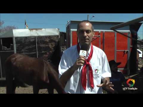 Festejos Farroupilhas de Porto Alegre 2016 - Campeira