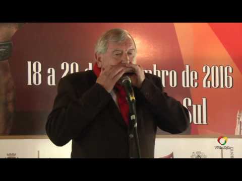 CELTO PEDRO DALLA VECCHIA  - ENART 2016 - GAITA DE BOCA - SÁBADO