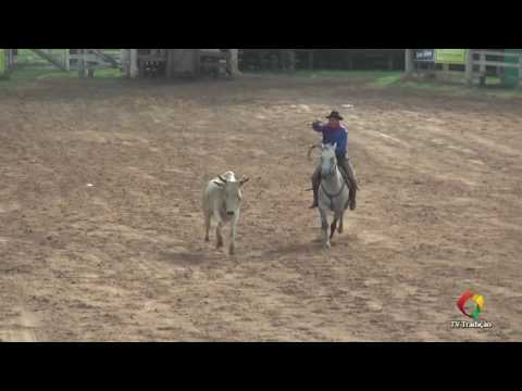 23º Rodeio Internacional do Conesul - Laço Cavalo QM