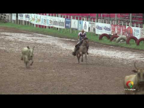 23º Rodeio Internacional do Conesul -  Laço Guri/Guria (1ª e 2ª voltas)