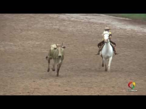 23º Rodeio Internacional do Conesul - Laço Piá (1ª e 2ª voltas)