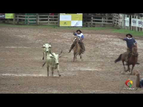 23º Rodeio Internacional do Conesul - Laço Equipe (1ª volta)
