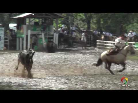Laço Vaquerano (1ª, 2ª e 3ª voltas) - 29ª FECARS - Sexta-feira