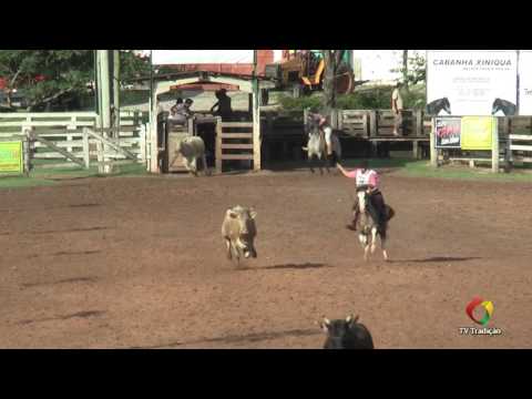 23º Rodeio Internacional do Conesul - Laço Criador - Quinta-feira