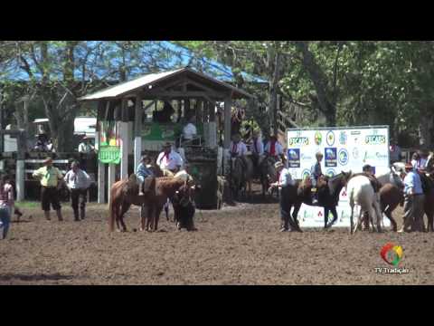 Premiação Taça Cidade de Rolante - 29ª FECARS