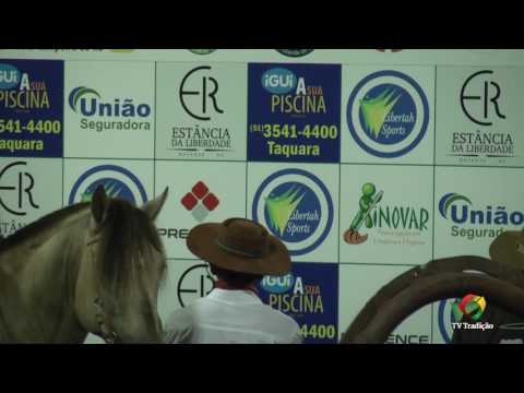 Premiação da Prova de Rédea - 29ª FECARS - Sábado