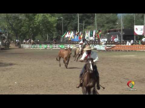 Individual Equipes - 29ª FECARS - Domingo