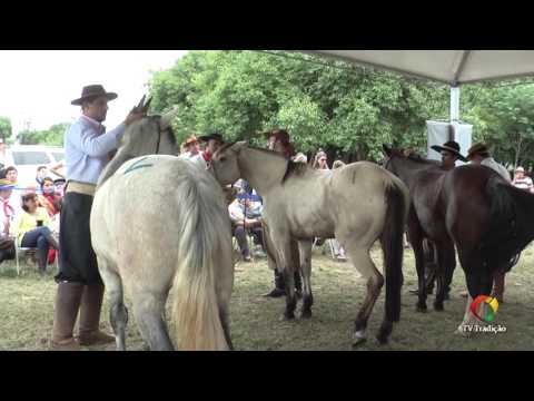 Jhonatã Reis Leindecker - Campeira - 29º Entrevero Cultural de Peões