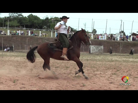 Luiz Fernando Kerschner - Prova Campeira - 29º Entrevero Cultural de Peões