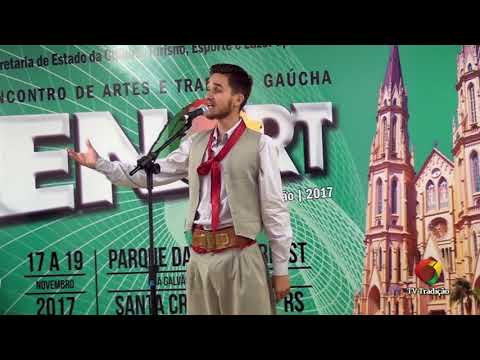 WELLERSON VINICIUS DIAS RICARDO - DECLAMAÇÃO MASCULINA - ENART 2017