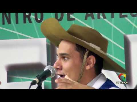 ARTHUR SALLES ROOS - DECLAMAÇÃO MASCULINA - ENART 2017 - SÁBADO
