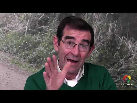 Nos Caminhos da História 19 - Reduções e Missões