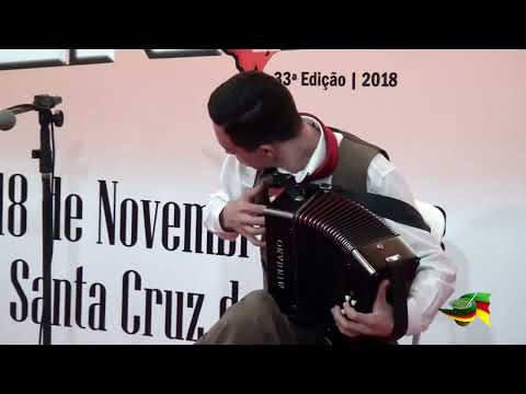 VICTOR HUGO MUNIZ BARRETO DA SILVEIRA -  ENART 2018 - GAITA ATÉ E 8 BAIXOS