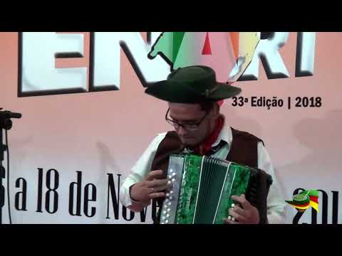 LUIZ PAULO PIZOLOTTO DOS SANTOS -  ENART 2018 - GAITA ATÉ E 8 BAIXOS
