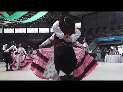PTG JAYME CAETANO BRAUM - FESTIVAL DOS FESTIVAIS 2021
